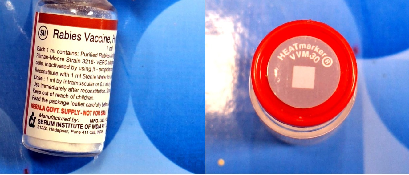 rabies vaccine cold chain